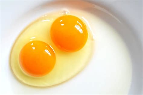 odds of double yolk egg|Double Yolk Eggs Explained: Why They Happen and Much More.
